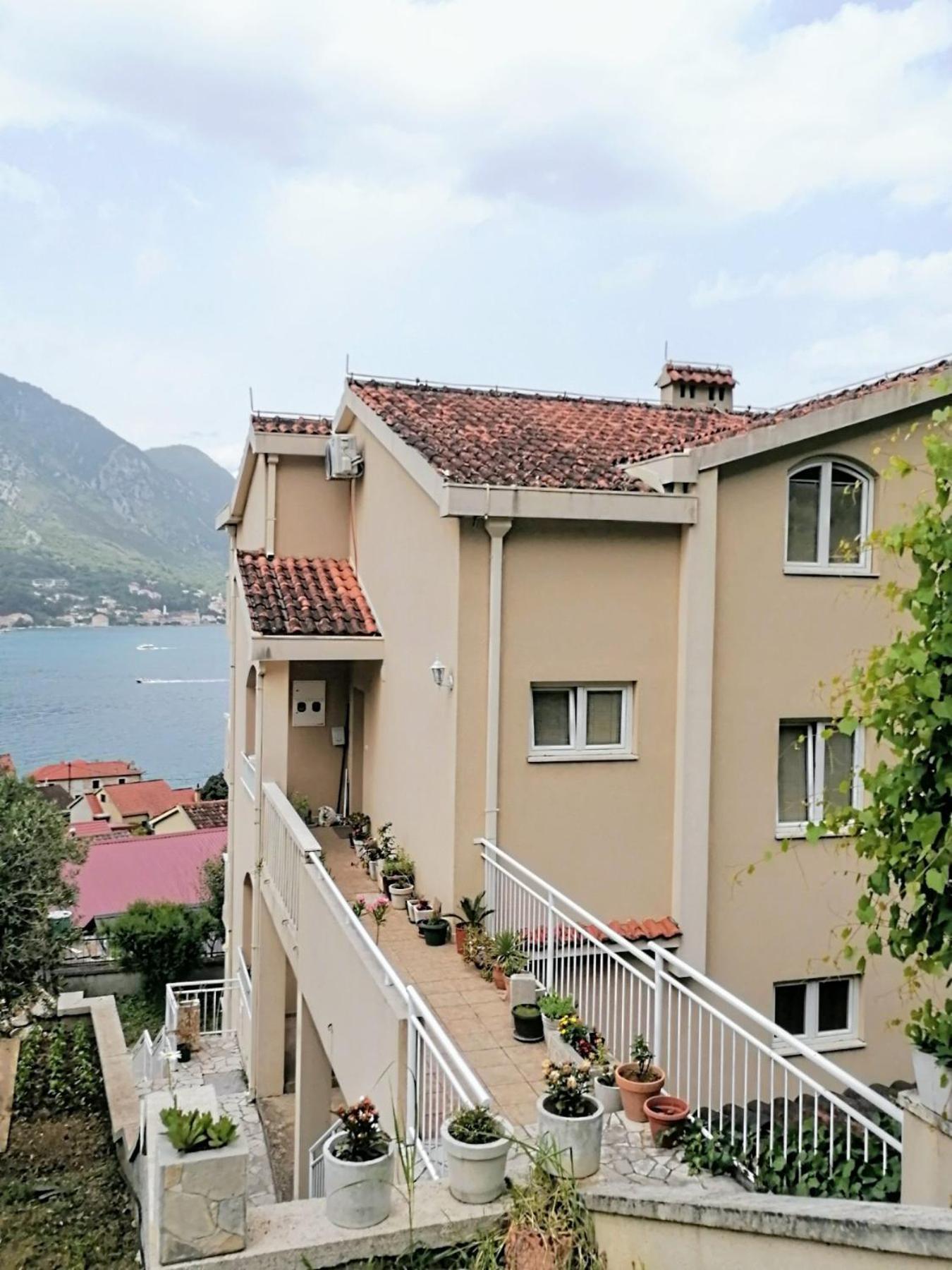 Apartment Bella Vista Kotor Kültér fotó